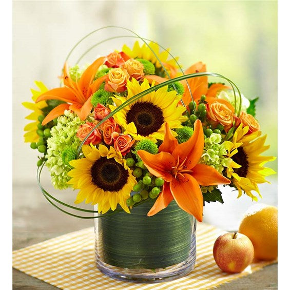 Sunflowers, lilies, hydrangeas, coffee and button mums in the colors of lime green, yellow, and orange in a short cylinder vase wrapped with a leaf.   Vase and/or flower variety will vary depending on availability. Arrangement will be as close as possible, but may not be exact.