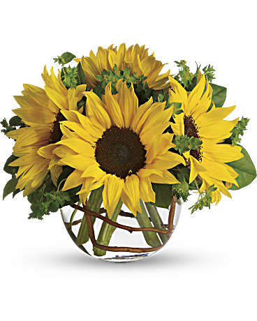 Small clear round vase filled with sunflowers and minimal greenery.   Vase and/or flower variety will vary depending on availability. Arrangement will be as close as possible, but may not be exact.