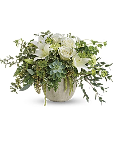 A concrete pot (color my vary) is filled with greenery,  assorted seasonal white flowers and accented with a succulent floret.  Container and/or flower variety will vary depending on availability. Arrangement will be as close as possible, but may not be exact.