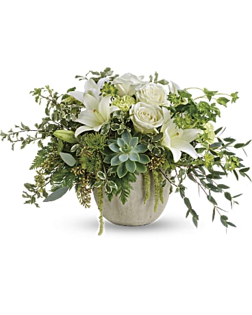 A concrete pot (color my vary) is filled with greenery,  assorted seasonal white flowers and accented with a succulent floret.  Container and/or flower variety will vary depending on availability. Arrangement will be as close as possible, but may not be exact.