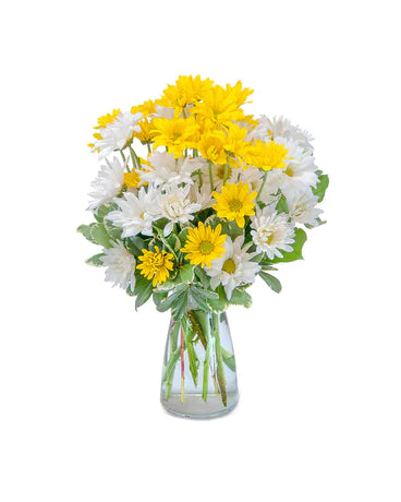 A small clear vase with white and yellow daisy mums and greenery. The perfect little arrangement to brighten anyone's day.  Vase and/or flower variety will vary depending on seasonal availability. The arrangement will be as close as possible, but may not be exact. 