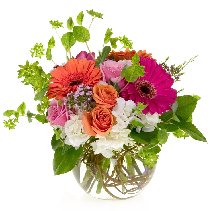 A compact arrangement of beautiful hydrangeas, gerbera daisies, roses and greenery. The perfect combination of white with pops of pink and orange.  Vase and/or flower variety will vary depending on availability. Arrangement will be as close as possible, but may not be exact.