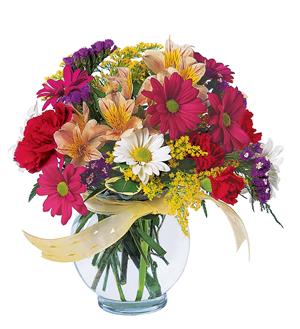 Brightly colored daisies, alstromeria, carnations and more fill a clear bubble bowl.  Vase and/or flower variety will vary depending on availability. Arrangement will be as close as possible, but may not be exact.