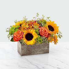 A rectangle wood box filled with yellow sunflowers, orange roses, and fall mums.   Box and/or flower variety will vary depending on availability. Arrangement will be as close as possible, but may not be exact.